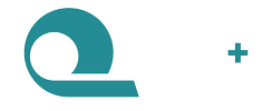 Risse + Wilke Logo